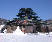 牡丹江建筑