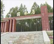 新林建筑