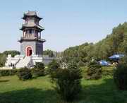 榆树建筑