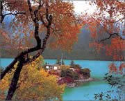 林芝建筑