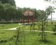 原阳建筑