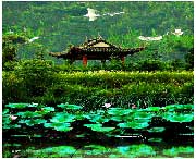 蔡甸建筑