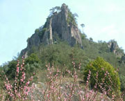 丽水建筑