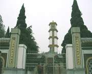 利辛建筑
