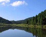 凤阳建筑