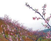 建宁建筑