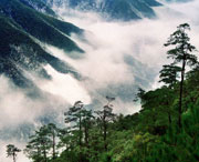 铅山建筑