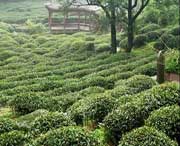 名山建筑