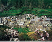 九龙建筑