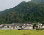 大埔建筑