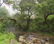 钟山建筑