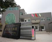 西林建筑